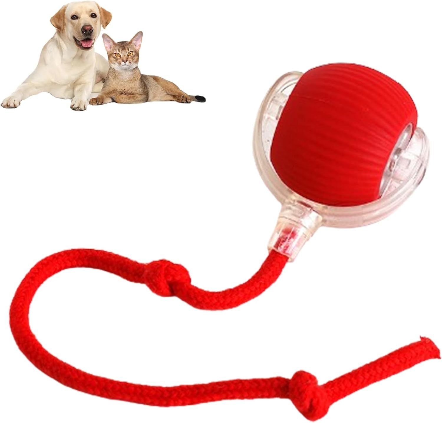 Rolling Ball Ball For Dogs Doggie
