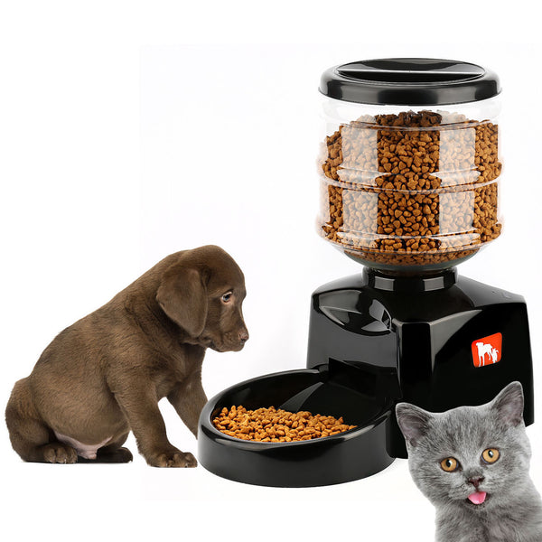 Intelligent Pet Feeder