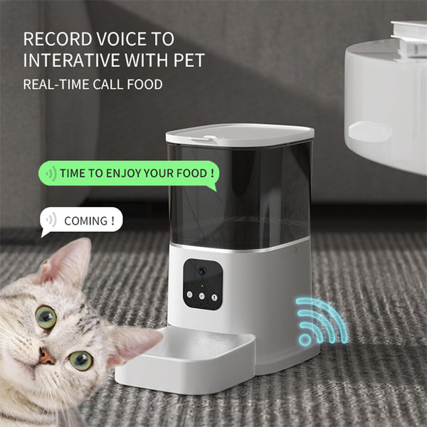 Pet Feeder with Timer