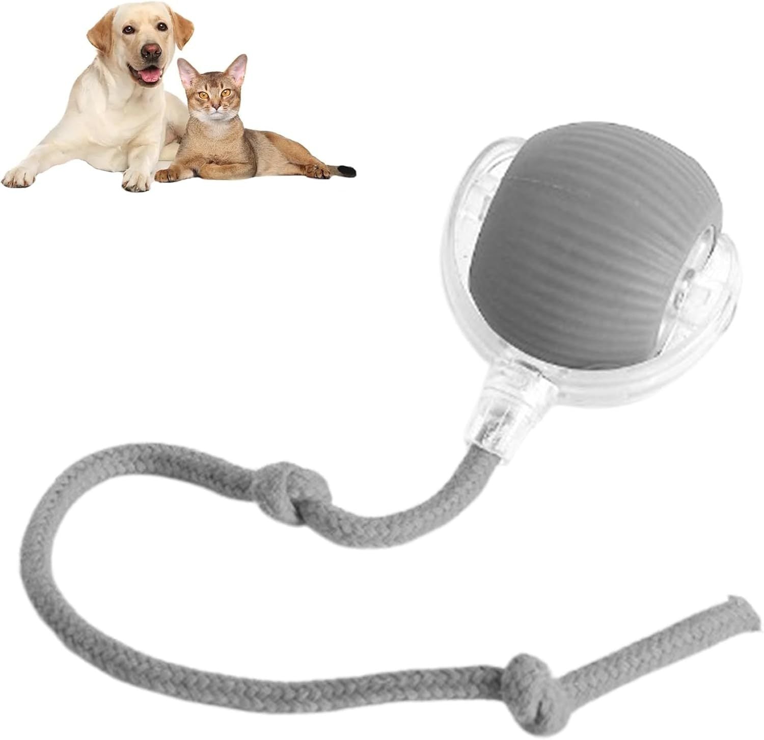 Rolling Ball Ball For Dogs Doggie