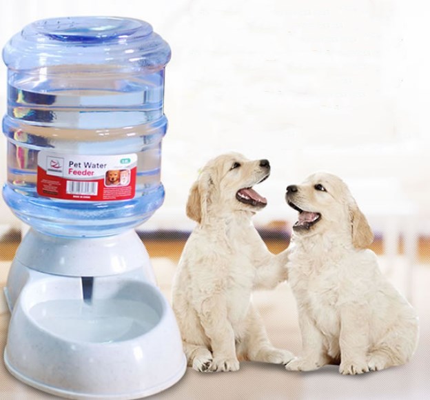 Feeder Drinking Water Fountains