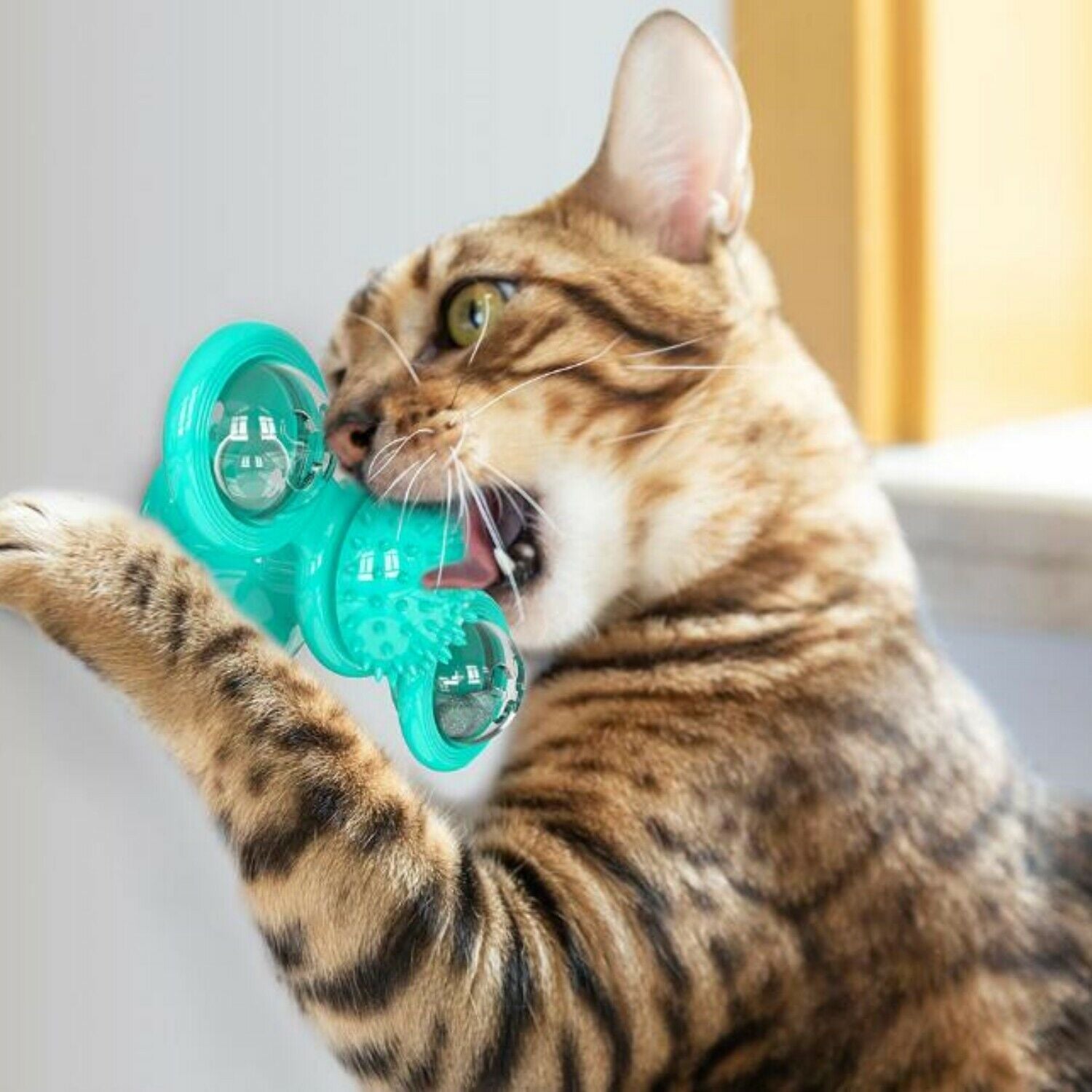 Cat Toys Cute Rotating Interactive