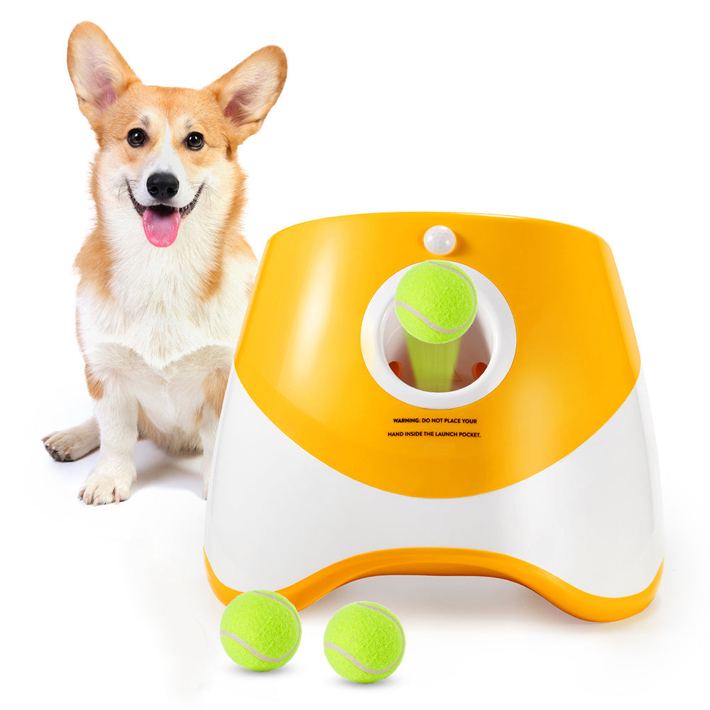 Automatic Throwing Machine  Pet