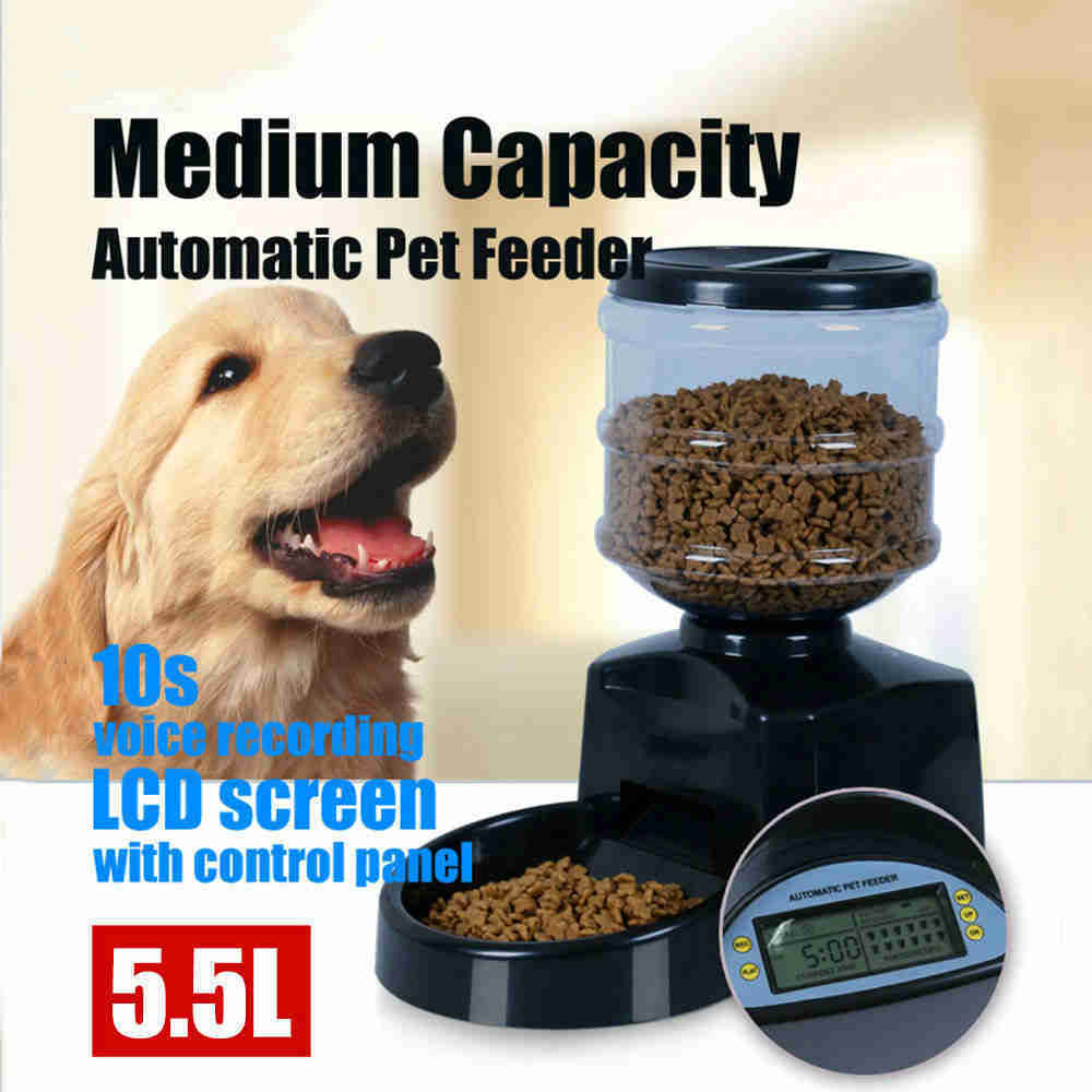 Intelligent Pet Feeder